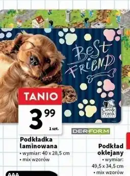 Intermarche Podkładka na biurko 40 x 28.5 cm Cleo & Frank Company oferta