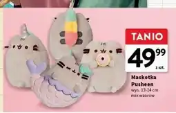 Intermarche Maskotka pusheen oferta