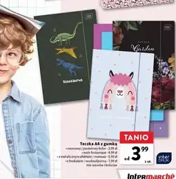 Intermarche Teczka a4 z gumką wodoodporna Interdruk oferta