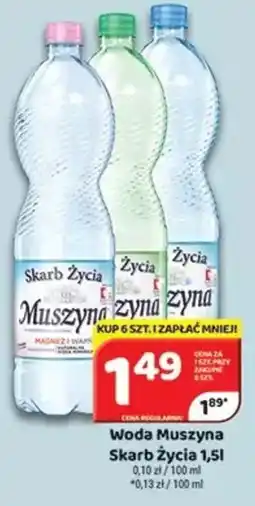 Delfin Woda Muszyna oferta