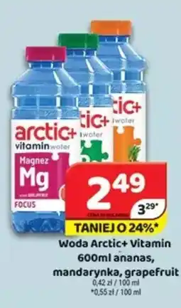 Delfin Woda Arctic+ Vitamin ananas, mandarynka, grapefruit oferta