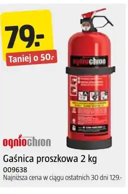 Jula Gaśnica Ogniochron oferta
