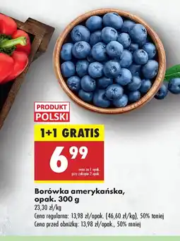 Biedronka Borówka amerykańska Polski oferta