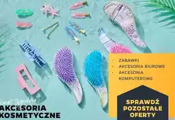 Netto Spinka do włosów oferta