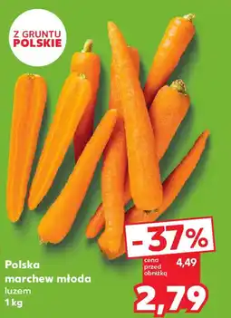 Kaufland Polska marchew młoda luzem oferta