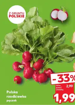 Kaufland Polska rzodkiewka pęczek oferta