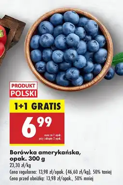 Biedronka Borówka amerykańska opak. 300 g 1+1 GRATIS Biedronka oferta