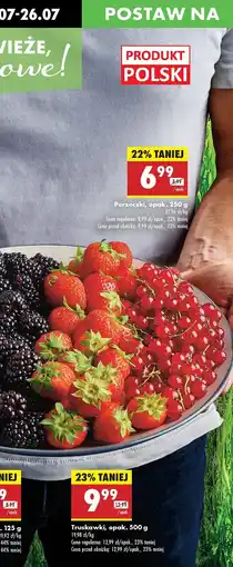 Biedronka Porzeczki Biedronka oferta