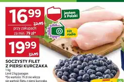 Stokrotka Borówka amerykańska 1 opak. Stokrotka oferta