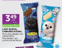 Stokrotka Lody Burza Koral oferta