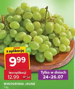 Stokrotka Winogrona jasne 1 kg Stokrotka oferta
