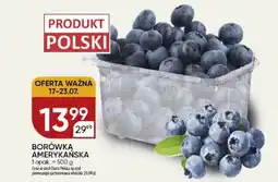 Chata Polska Borówką amerykańska oferta