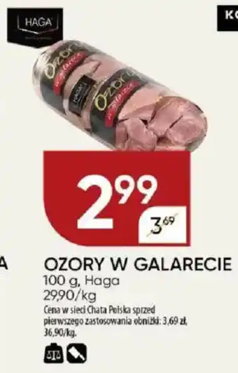 Chata Polska Ozory w galarecie haga oferta