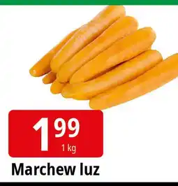 E.Leclerc Marchew oferta