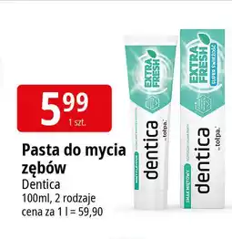 E.Leclerc Pasta do zębów ultra white Dentica oferta