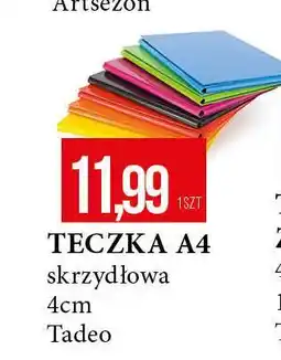 E.Leclerc Teczka skrzydłowa a4 Tadeo oferta