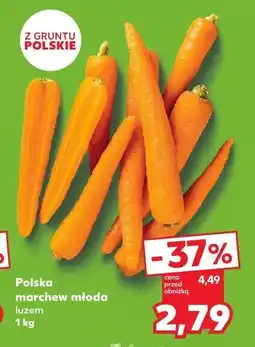Kaufland Marchew młoda 1 kg Kaufland oferta
