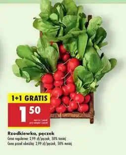 Biedronka Rzodkiewka pęczek oferta