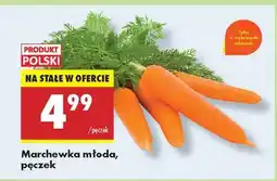 Biedronka Marchewka młoda pęczek oferta