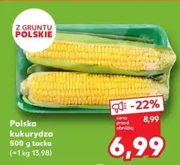 Kaufland Polska kukurydza oferta