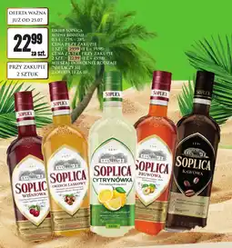 Dino Wódka Soplica oferta