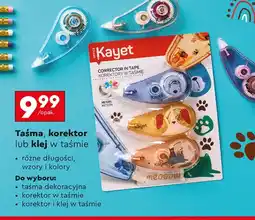 Biedronka Korektor Kayet oferta