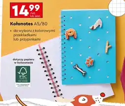 Biedronka Kołonotes oferta