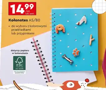 Biedronka Kołonotes oferta