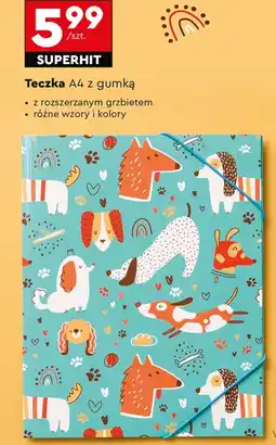 Biedronka Teczka oferta