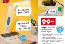 Biedronka Lampka oferta