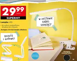 Biedronka Lampka oferta