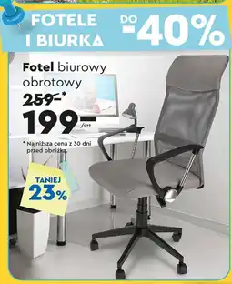 Biedronka Fotel biurowy oferta