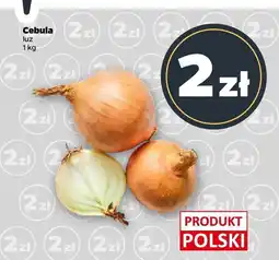 Netto Cebula Netto oferta