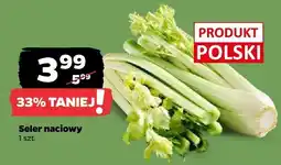 Netto Seler naciowy Z Zieleniaka oferta