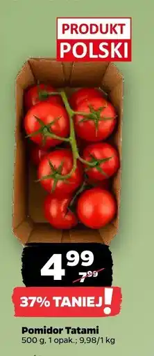 Netto Pomidor Tatami Z Zieleniaka oferta