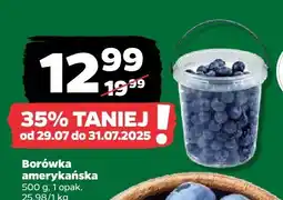 Netto Borówka amerykańska Netto oferta