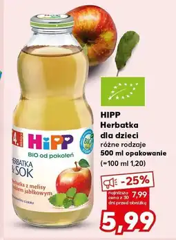 Kaufland Herbata Hipp dla dzieci różne rodzaje oferta