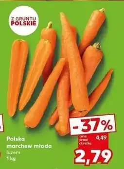 Kaufland Marchew młoda polska oferta