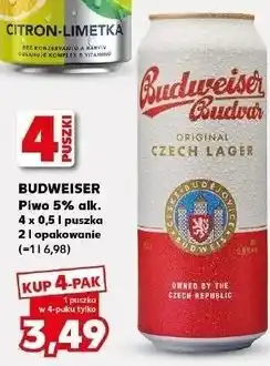 Kaufland Piwo Budweiser oferta