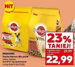Kaufland Karma dla psa wołowina drób Pedigree Vital oferta