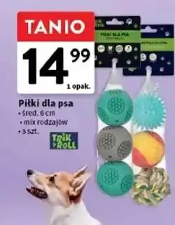 Intermarche Piłki dla psa oferta
