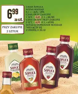 Dino Wódka Soplica Wiśniowa oferta