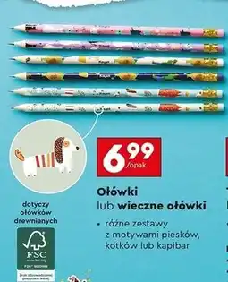 Biedronka Ołówki wieczne Kayet oferta