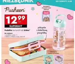Biedronka Bidon pusheen oferta