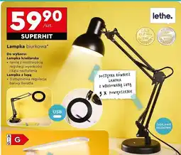 Biedronka Lampka z lupą Lethe oferta