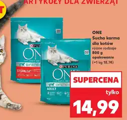 Kaufland ONE Sucha karma dla kotów oferta