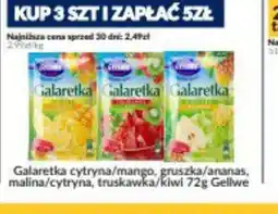 Sużyw Galaretka Gellwe oferta