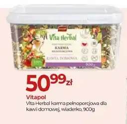Zoo Karina Vitapol Vita Herbal karma pełnoporcjowa dla kawii domowej oferta