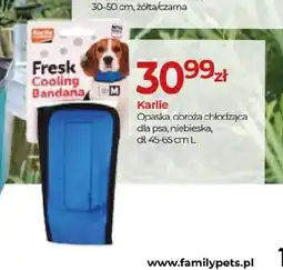 Zoo Karina Karlie Opaska obroża chłodząca dla psa oferta