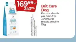 Zoo Karina Brit Care Dog oferta